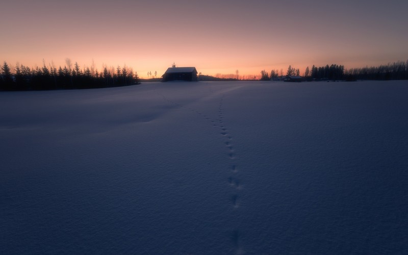 dark, sunlight, winter, snow, landscape