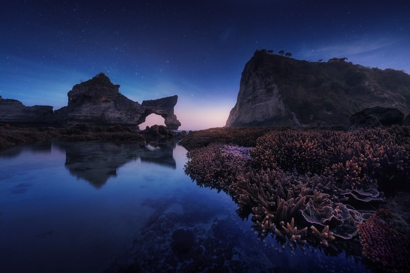 landscape, sunset, coast
