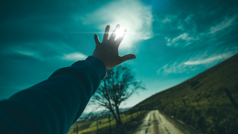sun rays, natural light, blue, depth of field