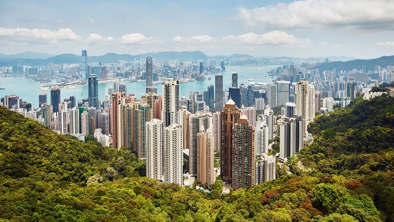 Hong Kong, cityscape, building, trees