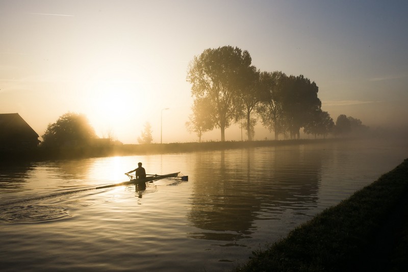 canal, sunlight, water, trees, rowing