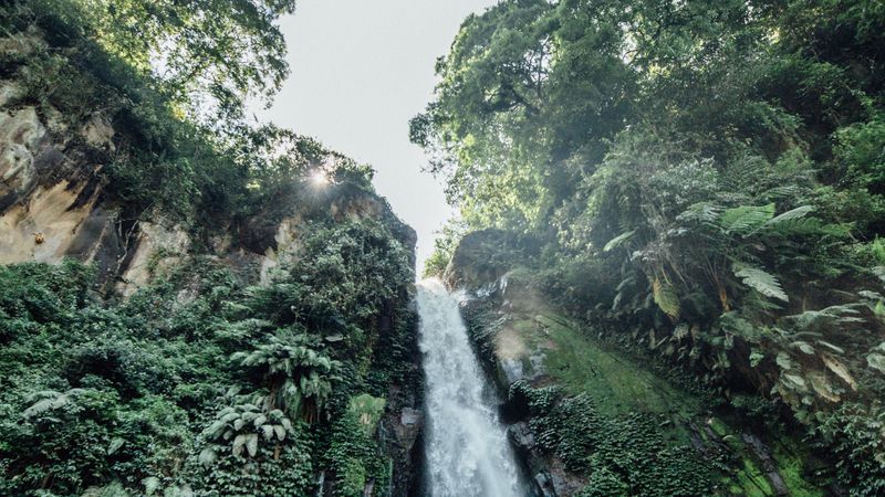 waterfall, cliff, trees, bushes, vegetation, 4k