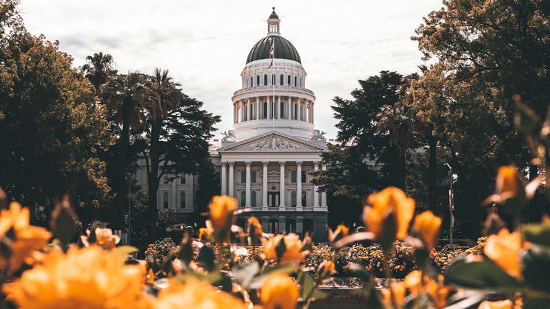 building, architecture, palace, dome, trees, flowers, 4k
