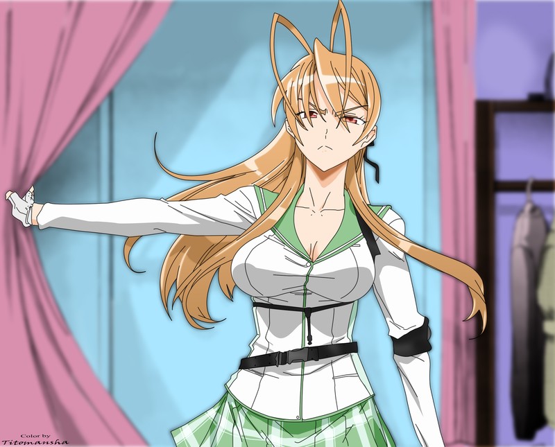 Highschool of the Dead, anime, Miyamoto Rei