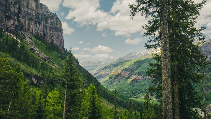 trees, mountains, landscape, forest, rocks, 4k