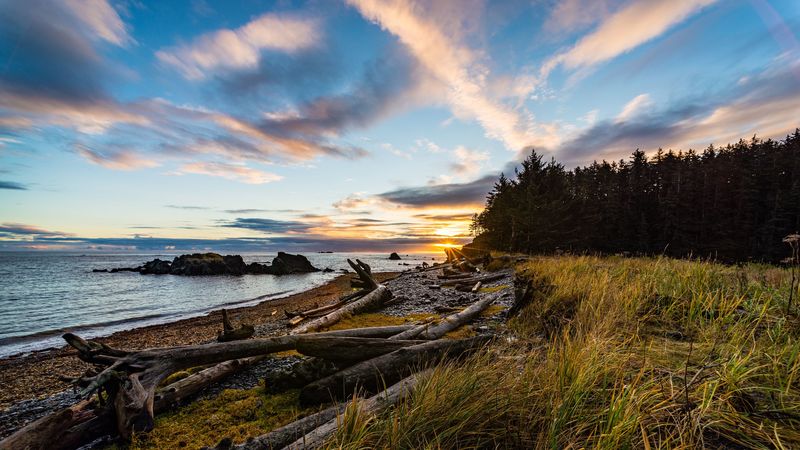 coast, sunset, forest, grass, evening, 4k