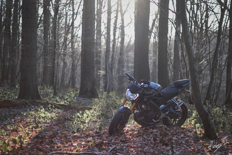 Yamaha, depth of field, motorcycle