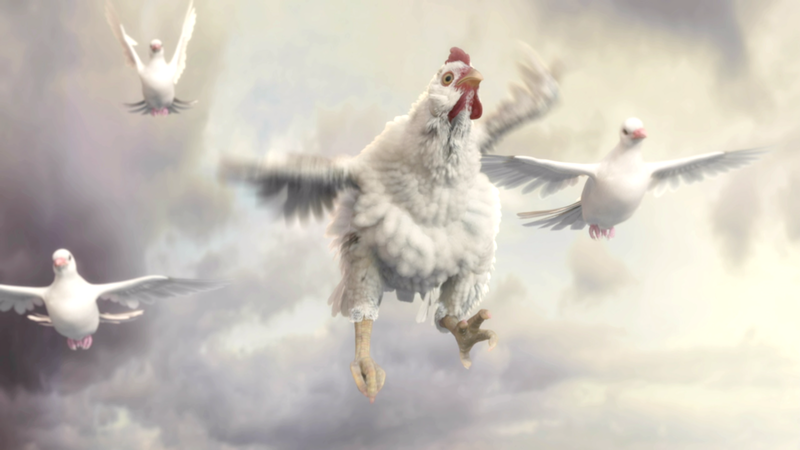 Fable, Chicken, dove, sky, animals