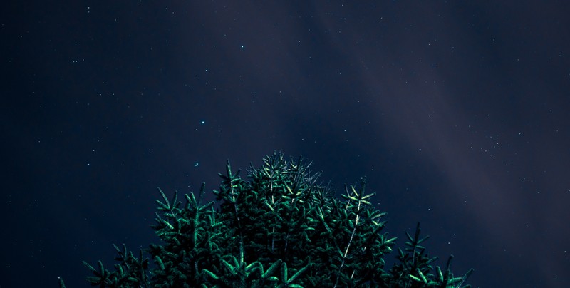 night, stars, night sky