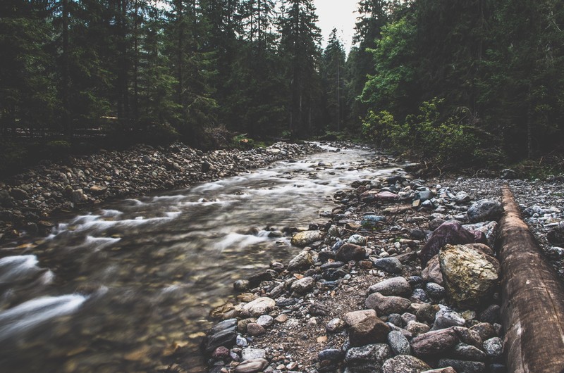 forest, river, rocks, nature, Poland, long exposure, stones, trees