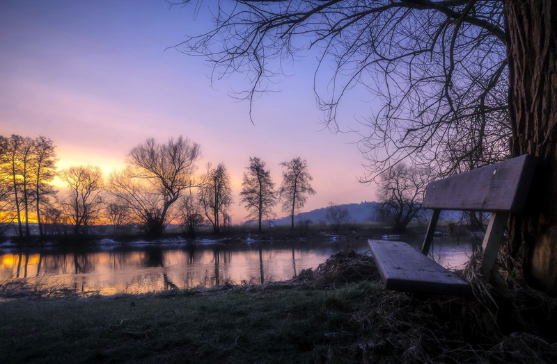 dark, bench, sunlight, nature