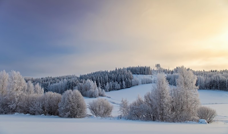 nature, winter, landscape, snow