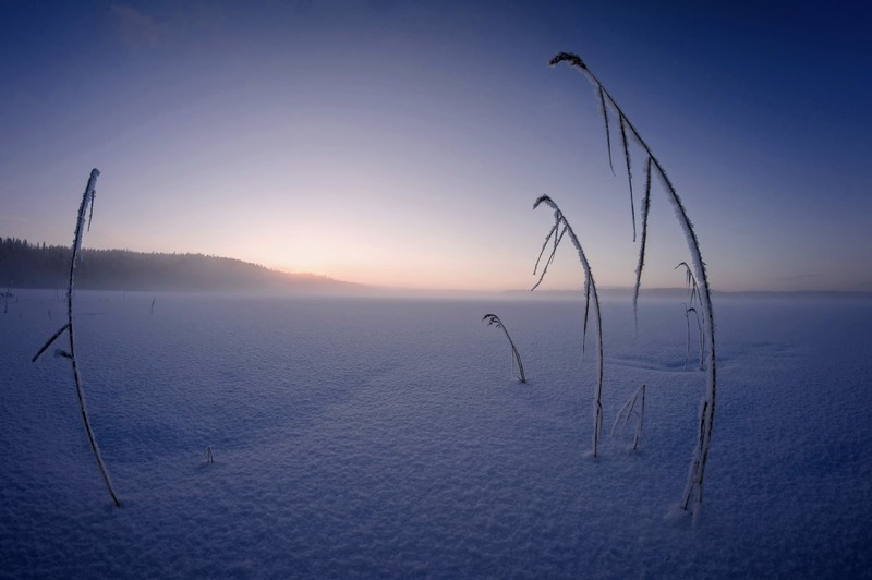 winter, snow, ice, cold, nature