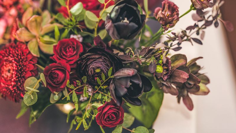 flowers, bouquet, roses, tulips, red, black, 4k