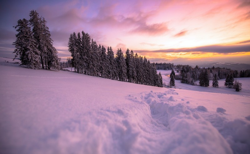 winter, sky, nature, landscape, trees, snow