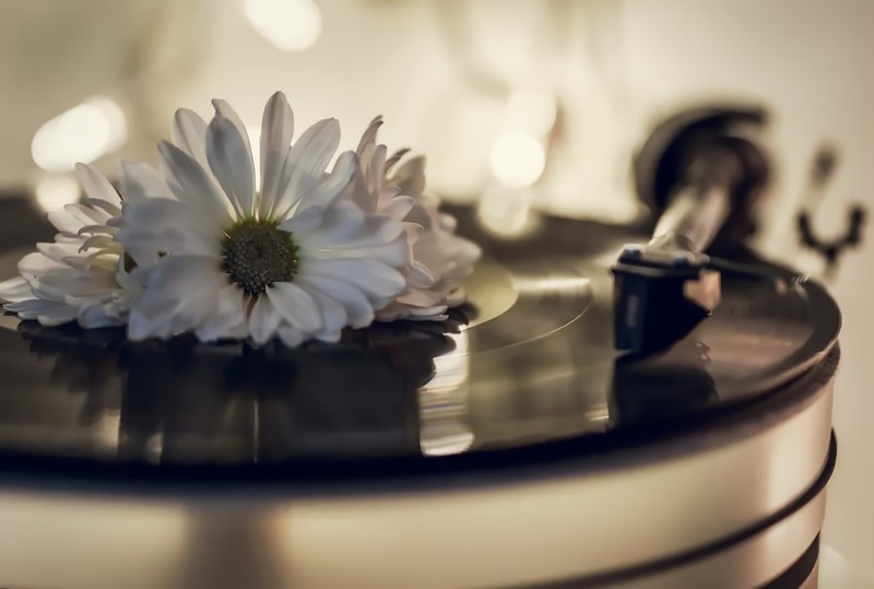 vinyl, flowers, music, white flowers