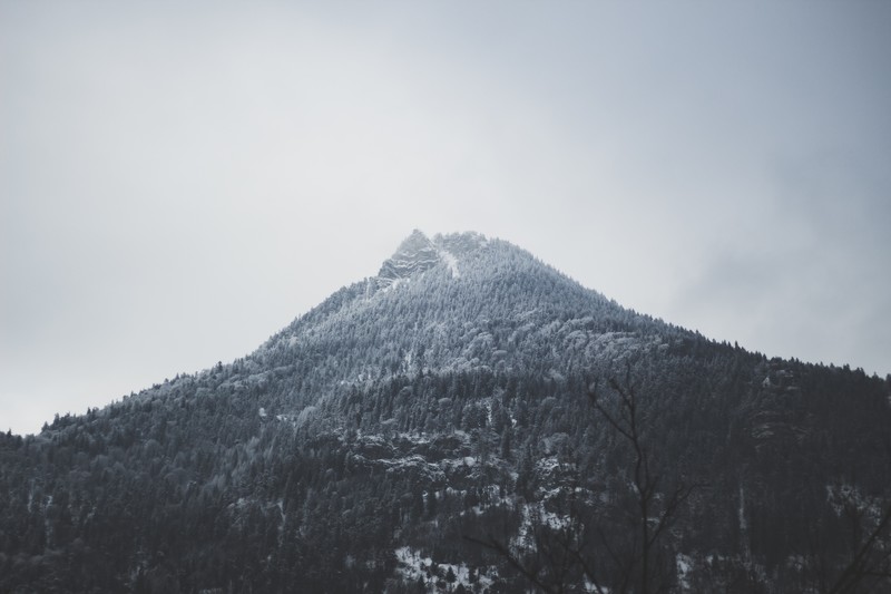 Alps, mountains, snow, mist, forest, clouds, landscape, monochrome