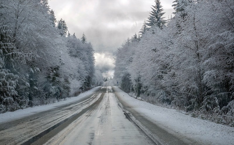 winter, ice, snow, road, trees