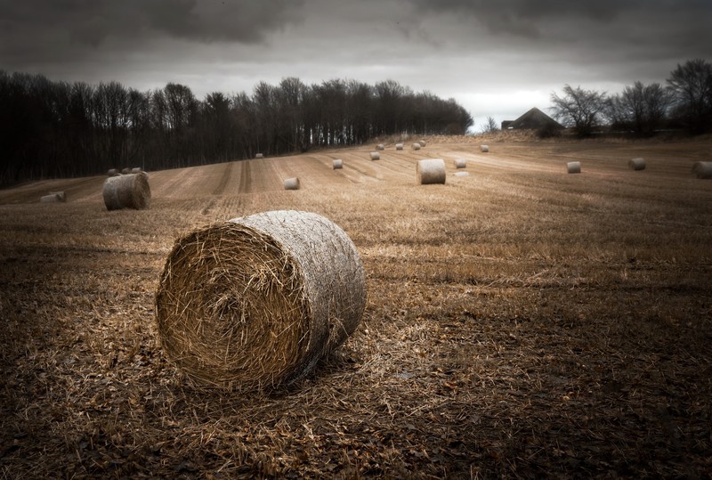 dark, field, landscape