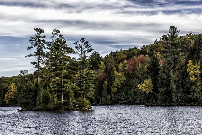 water, nature, landscape, green, trees
