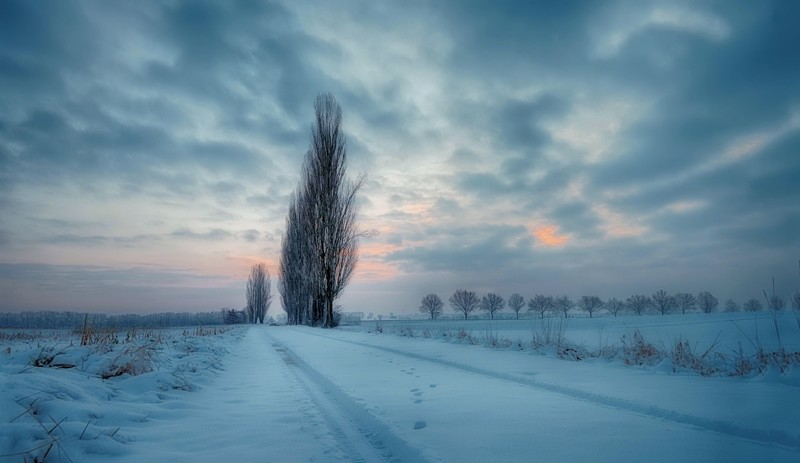 nature, winter, sky, landscape, trees, snow, road, path, clouds, calm