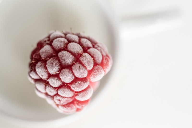 red, white, food, fruit, macro, white background, frost, raspberries