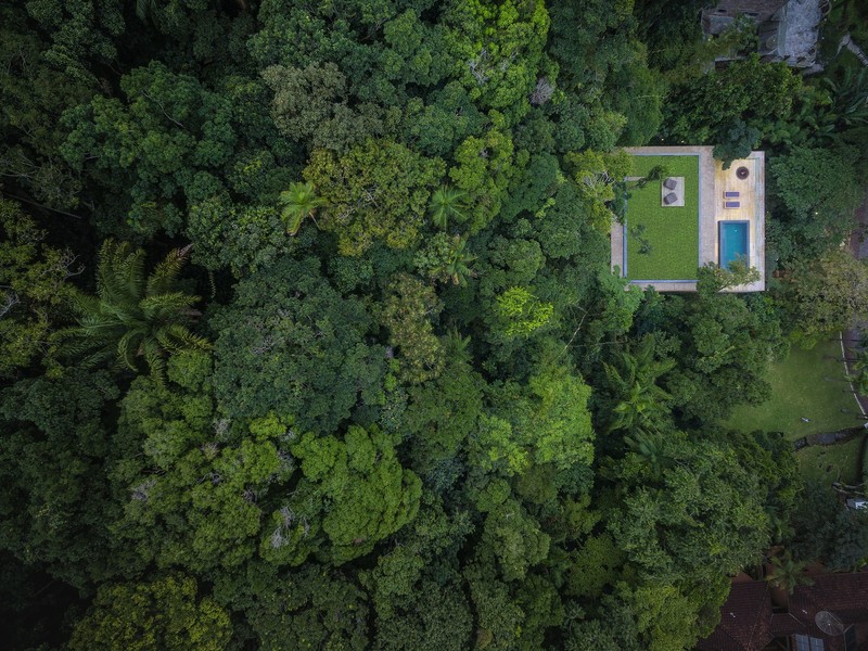 trees, forest, swimming pool, jungle, rainforest, house, rooftops, palm trees, grass, Brasil, modern, drone photo