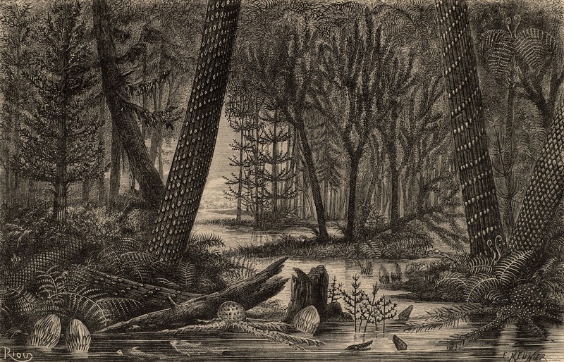 nature, landscape, monochrome, sepia, jungle, prehistoric, trees, river, plants, engraving, water