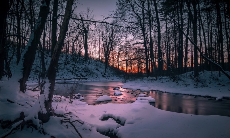nature, dark, snow, water, landscape, trees