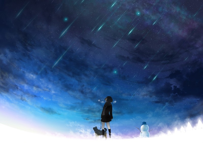 anime, anime girls, original characters, brunette, short hair, sky, stars, clouds, dog, snowmen