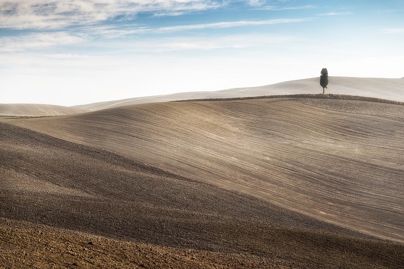 landscape, field, trees, hills, brown