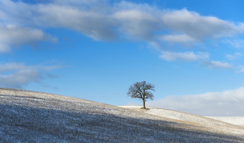 nature, landscape, blue, sky, trees, winter, snow, field, clouds, light blue