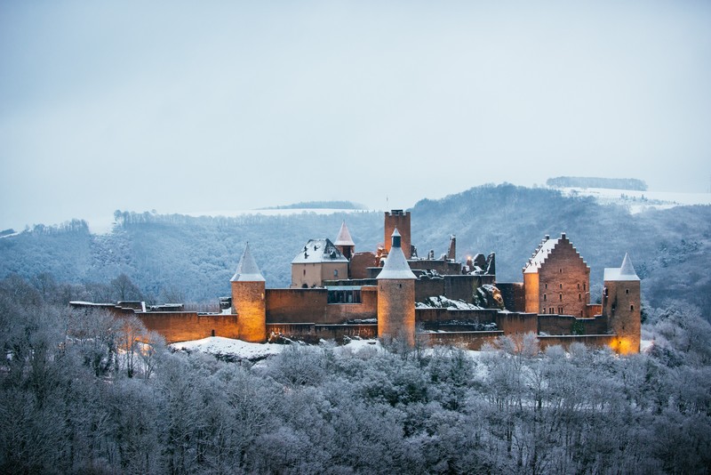 castle, landscape, winter, trees