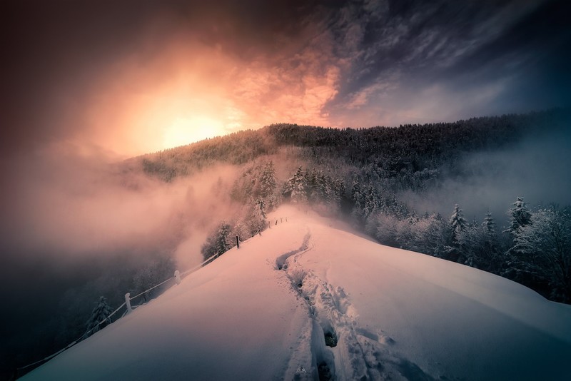 snow, winter, sunlight, sky