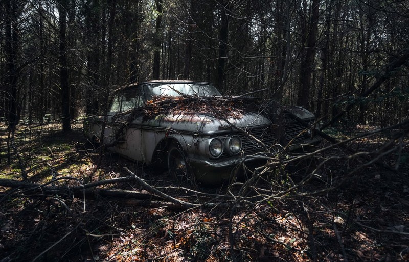 trees, car, wreck, vehicle