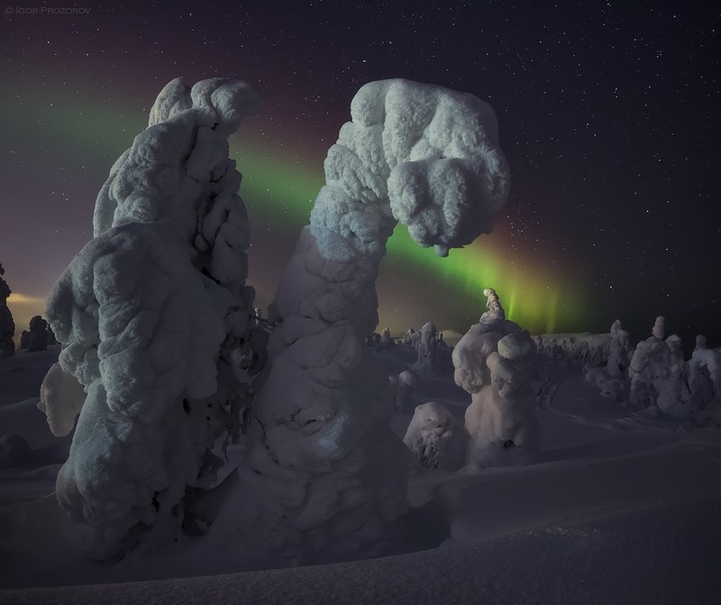 snow, winter, sky, night, nature