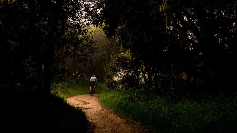 cyclist, bike, trees, path, 4k