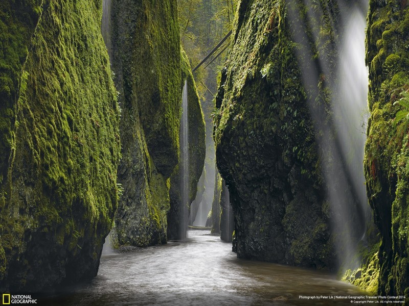 nature, landscape, National Geographic, trees, rock, moss, plants, river, waterfall, valley, Oregon, USA, long exposure, photography