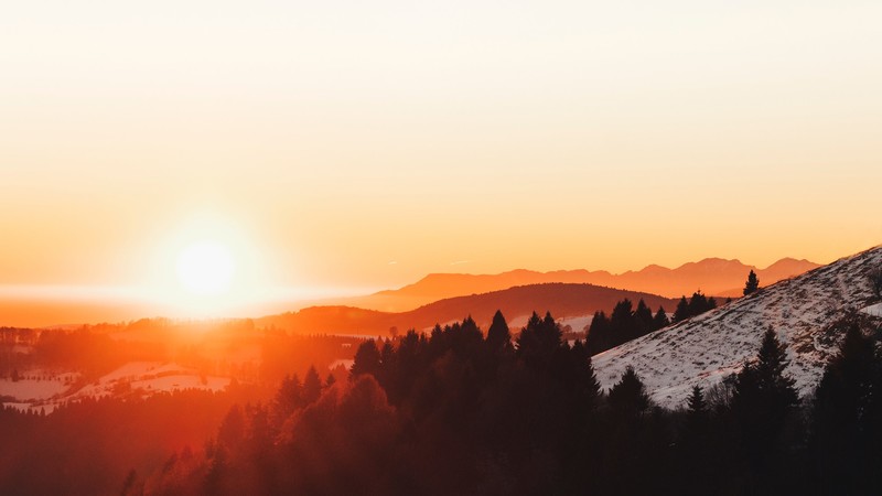 sunrise, forest, orange, winter