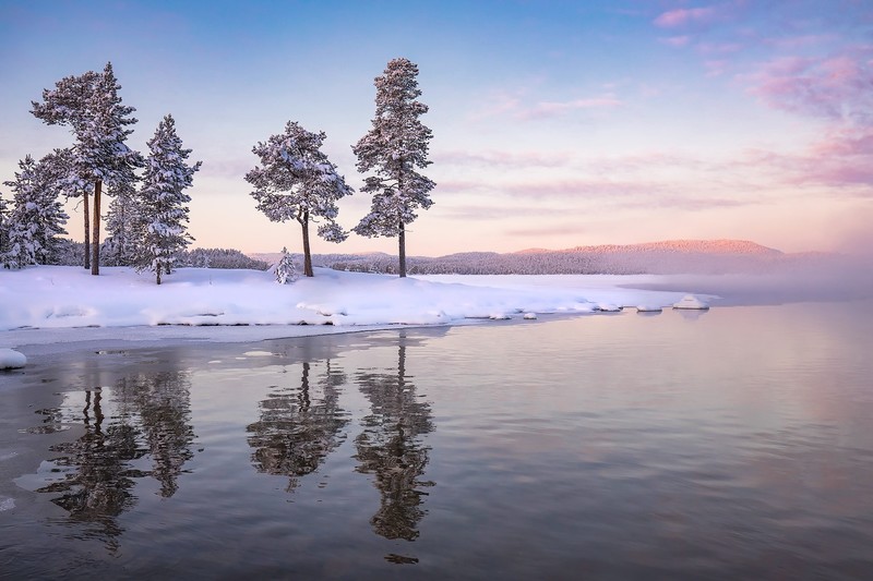 nature, landscape, trees, winter, snow, lake, reflection, ice, mist