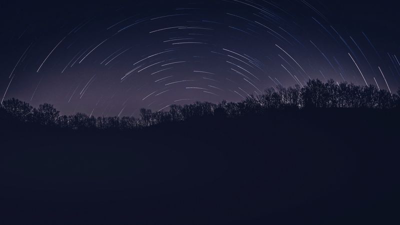 night, trees, stars, darkness, dark, 4k