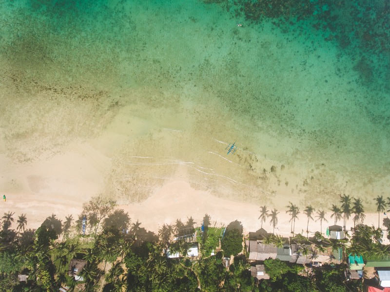 nature, water, trees, house, sand, beach