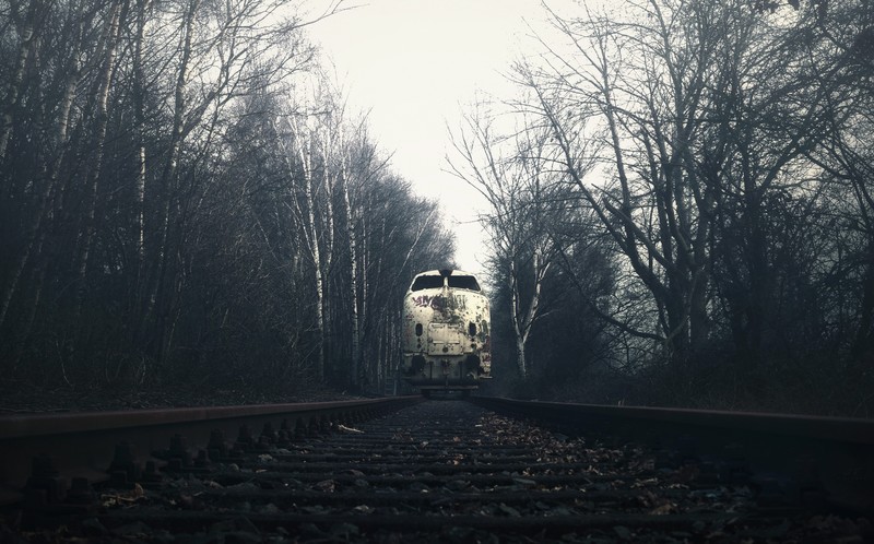 dark, trees, railway, train, vehicle, birch, fall, overcast, wreck