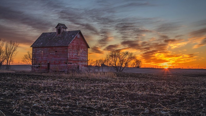 sky, sunlight, landscape, barn, winter