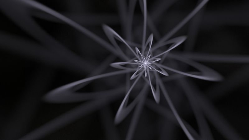 fractal, lines, tangled, bw, abstraction, 4k