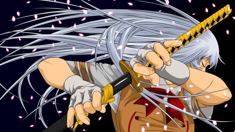 Shiryu Chouun, Ikkitousen, white hair, sword