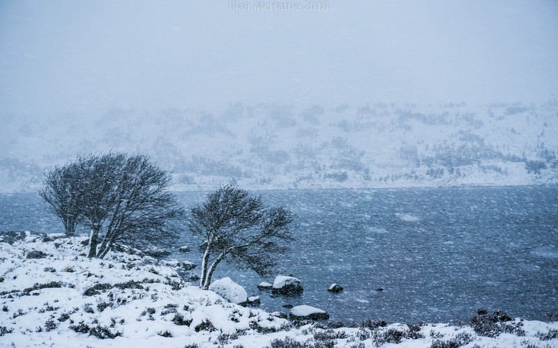 snow, cold, winter, nature