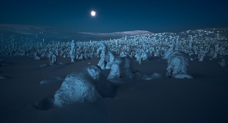 dark, night, landscape, snow, winter, nature