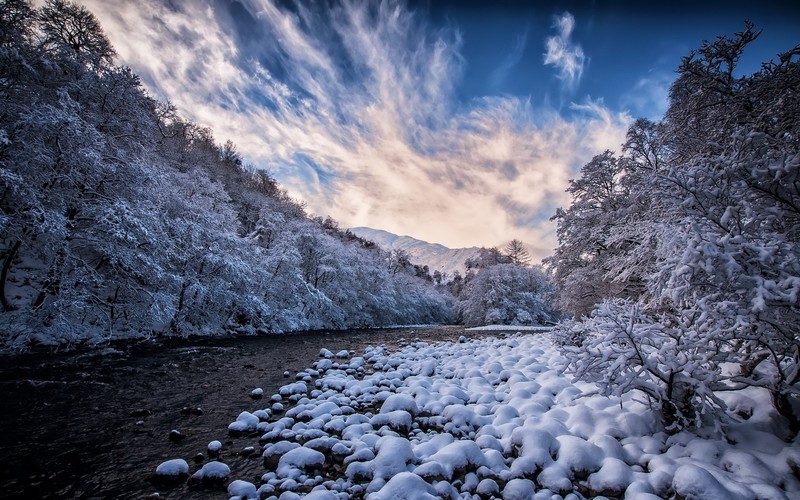 nature, blue, snow, trees, landscape, winter