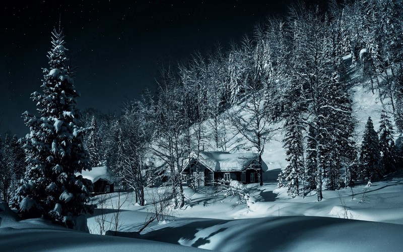 dark, hut, nature, snow, trees